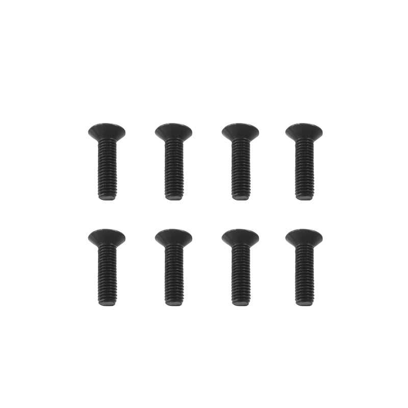 Flat Head Hex Screw(M4*12) for MK-07